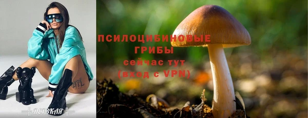 гашик Кукмор