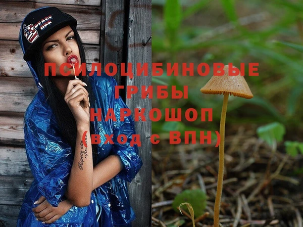 гашик Кукмор