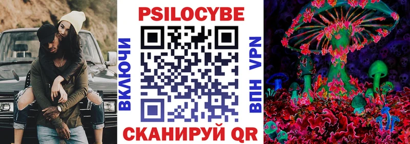 Купить  Байкальск  Псилоцибиновые грибы Psilocybine cubensis 